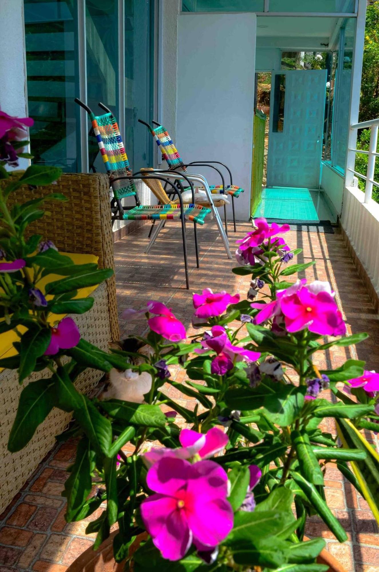 Casa Babel Taganga Hotel Santa Marta  Ngoại thất bức ảnh